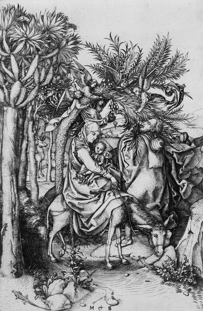 La Fuga in Egitto da Martin Schongauer